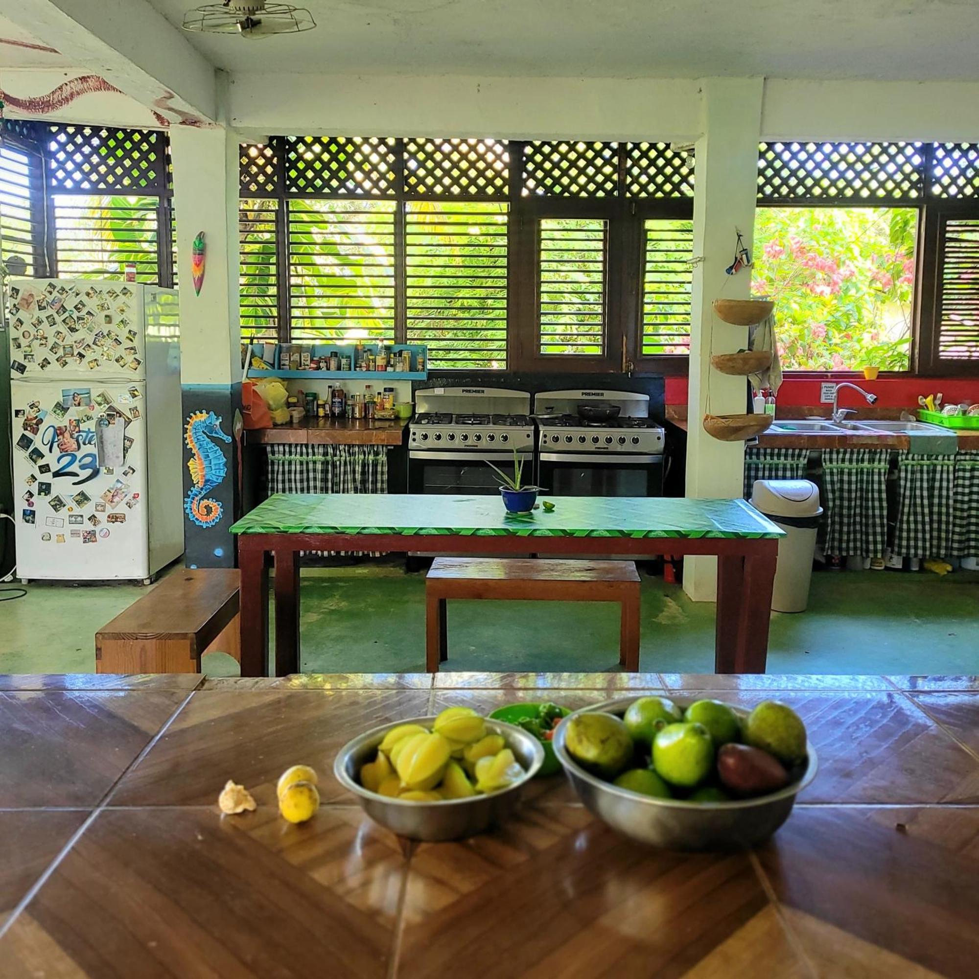 Hostel 23 Las Terrenas Esterno foto